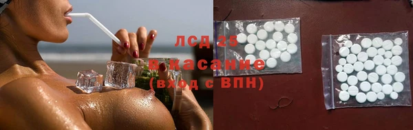 a pvp Аркадак