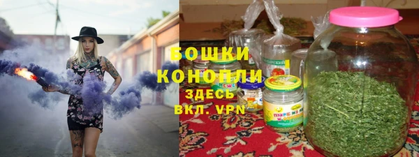 ешки Арсеньев