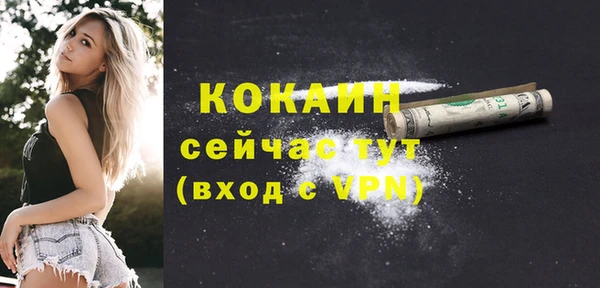 ешки Арсеньев