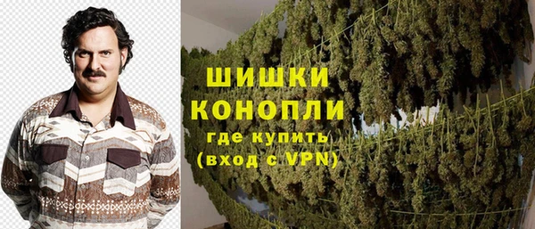 ешки Арсеньев